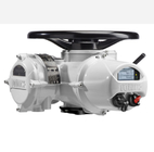 ROTORK Electric Actuator IQ with Chinese Wuzhong Valve and Flowserve Ball Valves