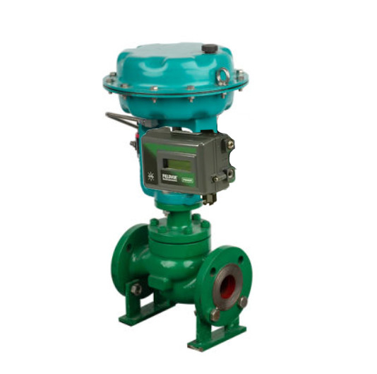 Chinese Flow Control Valve With Fisher DVC2000 Valve Positioner And 67CFR Filter Regulator
