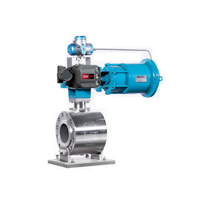 Fisher DVC6200 Valf Konumlandırıcılı Döner Kontrol Vanası Fisher 67CFR Filtre Regülatörü