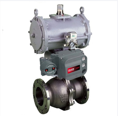 Fisher DVC6200 Pnömatik Konumlandırıcı 6300RC Aktüatörlü Kontrol Vanası KOSO 310K