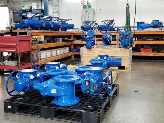 Limitorque - Çin Kontrol vanası ile QX Elektrikli Aktüatör Çalışması