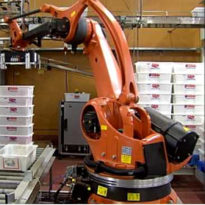 Palletizing Robotic Arm 5 Axis Kuka KR 180 PA CNGBS Robot Rehber Demiryolu ile Palletizing Robot