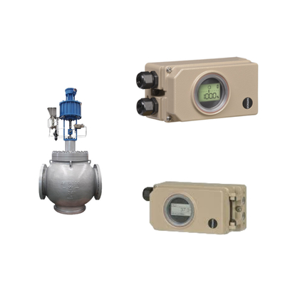 Samson Elektropneumatik 3730-3 Pozisyoner ve Fisher 67CFR Filtre Düzenleyicisi ile Dalgalanmış Boru Kontrol Valfi