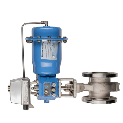 ND9000 ND7000 ve pnematik aktüatörlü Neles Valve Positioner ile Çin Kontrol Valfı