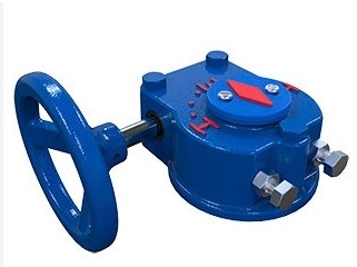 ROTORK IQ Elektrikli Aktifleyici ve Çinli Marka Kontrol Valfi ile IW IB Delek Kutusu