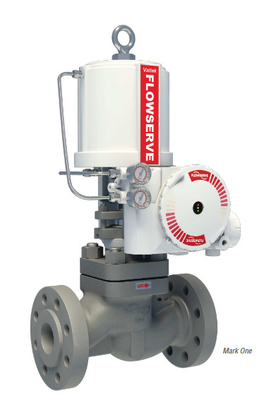 Flowserve Valtek VR Aktuatörü ve 3200MD Valve Positioner ile Basınç Düşükleyici ve Aşırı Isıtma İstasyonu
