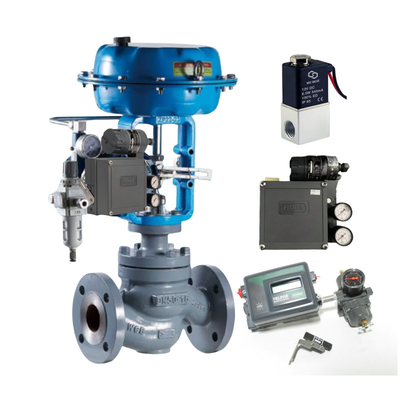 Fisher 3582/3582i Elektropneumatik Valf Yerleştiricisi ve 4211 Yerleştiricisi Işınlayıcı Tedarikçisi Stokta