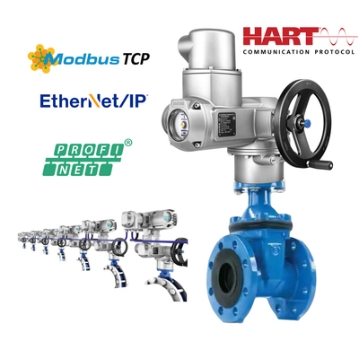 AUMA SQ10.2 ve Valf Bağlantısı F10 F12 Auma SQ ile Elektrikli Valflar SQ10.2 SQ07.2 SQ12.2 SQ14.2 SQ05.2 Açık-yakın görev için