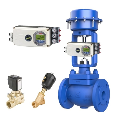 Aynı Spirax Sarco Kontrol Valvu ile Fisher ABB Pozisyoner ve Burkert Soleniod Valvu ile Bithermo Valvu