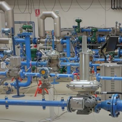 Emerson Fisher LS200 Endüstriyel Doğalgaz Kendinden Tahrikli Basınç Regülatörü