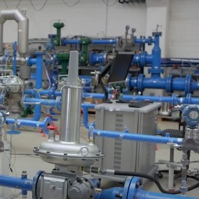 Emerson Fisher LS200 Endüstriyel Doğalgaz Kendinden Tahrikli Basınç Regülatörü
