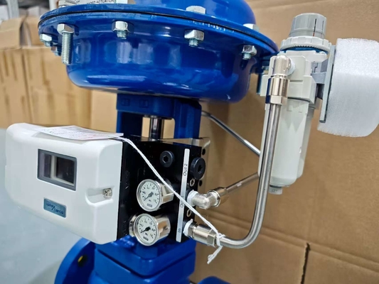 Spirax Sarco KE73 Kontrol Vanası Gövdesi DN15-100 Flanş BSP ANSI DIN Standartları ISO9000