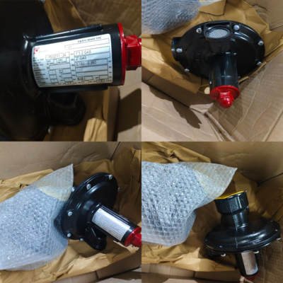 Stock Supplier Pressure Equipment Tartarini V/61 Düşük basınçlı uygulamalar için otomatik yayla yüklü yardım valfleri