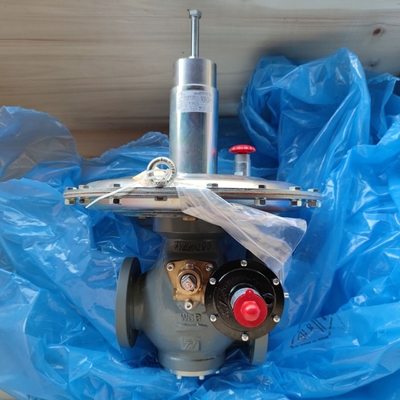 Stock Supplier Pressure Equipment Tartarini V/61 Düşük basınçlı uygulamalar için otomatik yayla yüklü yardım valfleri