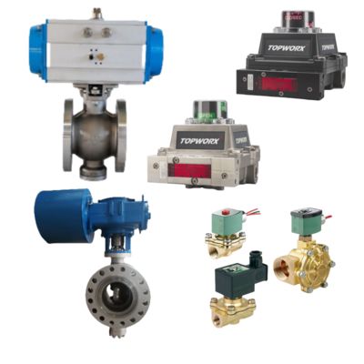 TopWorx TXP Serisi Alev Dayanıklı NAMUR Çapa Sınırı Değiştiricisi