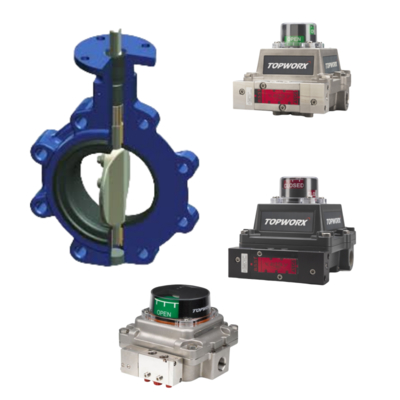 TopWorx TXP-M21GNMM NAMUR Şaft Alev Geçirmez Vana Konumlayıcı