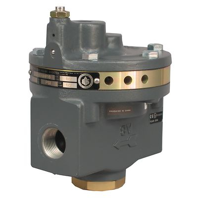 Fisher 2625 Serisi Hacim Artırıcı, 3/4 NPT Bağlantılı