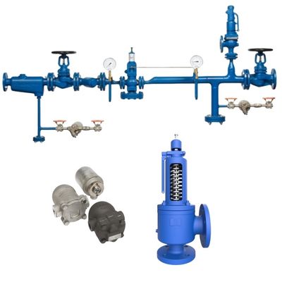 ASMEl Ve VIII Emniyet Ventilleri Yüksek Sıcaklık Uygulamaları için Özelleştirilmiş Destek Spiraxsarco Emniyet Ventili SV607/SV604