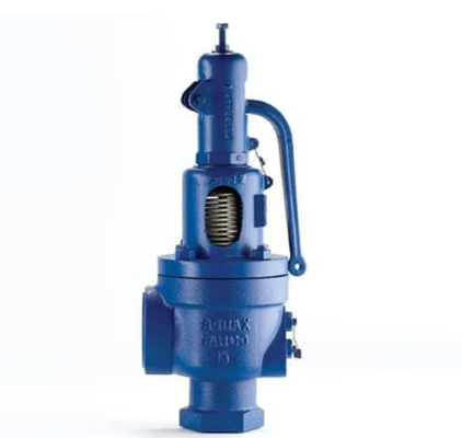 Nihai Çözüm Gazlı Fırın Emniyet Ventilleri Spiraxsarco SV607DS ve Burkert Solenoid