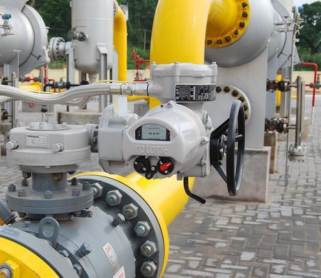 Paslanmaz Çelik Rotork Elektrik Aktif Valflar Elektrik Aktif Valflar Top Valflar Akış Kontrol Valfi