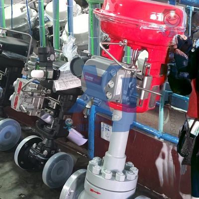 Pnömatik Vana Konumlayıcı Otomatik EAC Sertifikalı Kontrol Vanası ve Emerson Fisher DVC6200 Akıllı Vana Konumlayıcıları