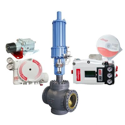 Flowserve 3841-43MA-D43R-1130-00 3821-28EA-D43L-1130-00 Logix 3800 Endüstriyel Dijital Valf Konumlandırıcı Kontrolörü