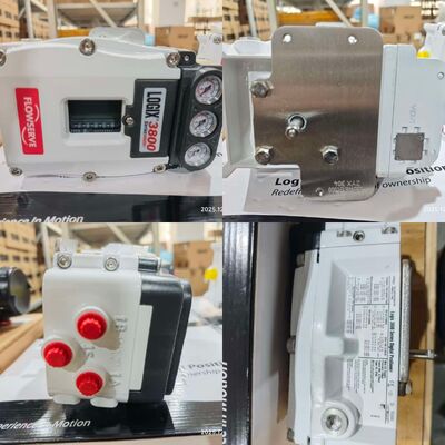 Flowserve 3841-43MA-D43R-1130-00 3821-28EA-D43L-1130-00 Logix 3800 Endüstriyel Dijital Valf Konumlandırıcı Kontrolörü