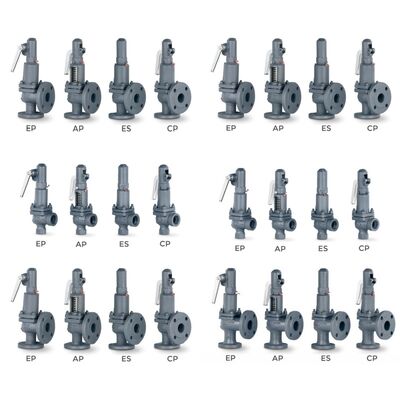 VYC Endüstriyel Valf AIT 485 486 494 495 496 596 696 Basınç Alçaltma Valfi Tam Açılış Güvenlik Valfi Sıkıştırma Bahçesi