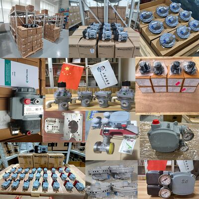 SVI1000G SVI1000 PR G IM Masoneilan Valf Konumlandırıcı SVY ve LPG için Asco Regülatörlü Çin Pnömatik Kontrol Vanası