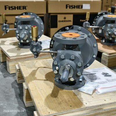 Fisher Tipleri 1098-EGR ve 1098H-EGR Basınç düşürücü düzenleyicileri ve stoklu 63EG-98HM düzenleyicisi ile monte edilmiş kaydırma