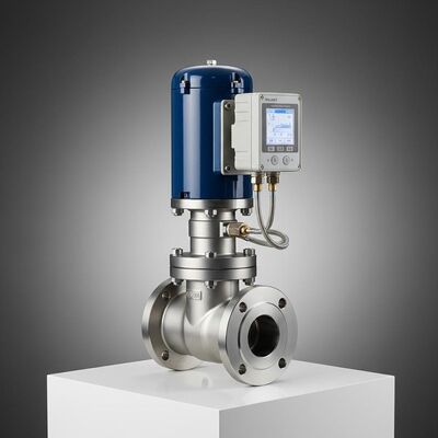 Valmet Me-tso Neles ND7000 Serisi Akıllı Valf Konumlandırıcılı Lanlin Pnömatik Tekli Koltuklu Kontrol Vanası