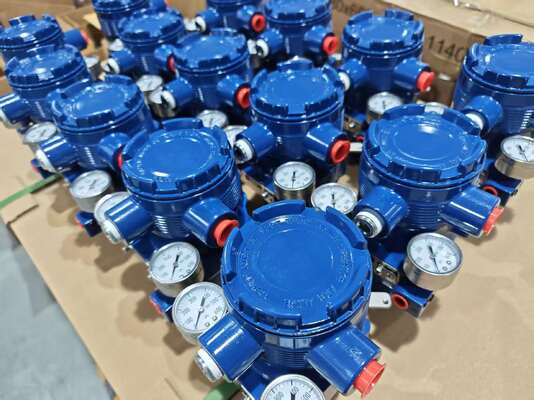 Fisher Vanalı Akıllı Pnömatik Kontrol Vanası Konumlandırıcı AVP300