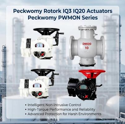 Peckwomy PWMON Serisi Patlama geçirmez OEM Top Elektrik Aktifler Görüntüleyici Gaz Medyası Değiştirilebilir Rotork IQ3 IQ20 Aktifler