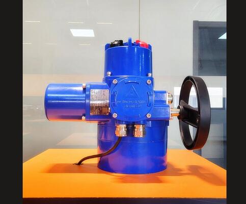 Peckwomy PWMON Serisi Patlama geçirmez OEM Top Elektrik Aktifler Görüntüleyici Gaz Medyası Değiştirilebilir Rotork IQ3 IQ20 Aktifler