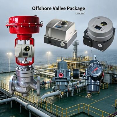 Valmet Me-sto Neles ND9000 Fi-sher 67CFR Filtre Basınç Düşükleyici Valfi ile Kontrol Valf Yerleştiricisi