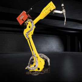 Çin fabrika fiyat 6 eksen robot endüstriyel kullanım için ARC Mate i0 kaynak robotu