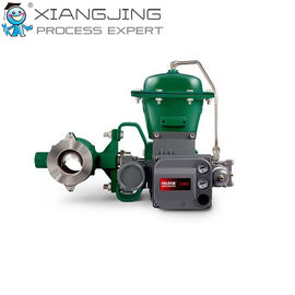 Fisher Vee-Ball V200 Kontrol Vanası