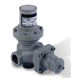 PN 16 Gövde Malzemeleri Gaz Basınç Regülatörü RB1700-3 / 4 &quot;CE Sertifikası