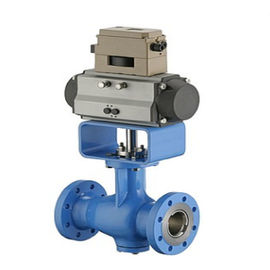 Sınıf 150 - SV11000 Dijital Vana Konumlandırıcılı Sınıf 300 Pnömatik Kontrol Vanası