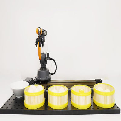 WLkata 6 Eksen Mini Endüstriyel Robot Yapay Zeka Eğitim için