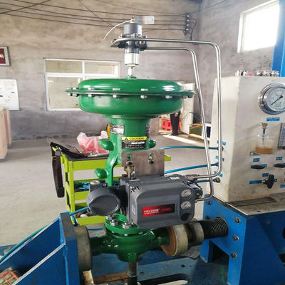 DVC6200 DVC2000 Dijital Vana Kontrol Cihazı ile Fish-Er EZ Pnömatik Kontrol Vanası