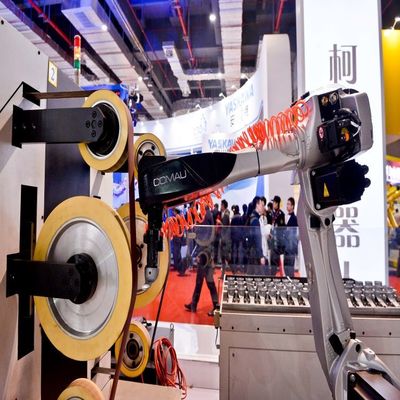 Poliş Robotu Yarışçı-7-1.0 7 kg 6 Eksenli Robotik Kol İşlem Otomasyonuna