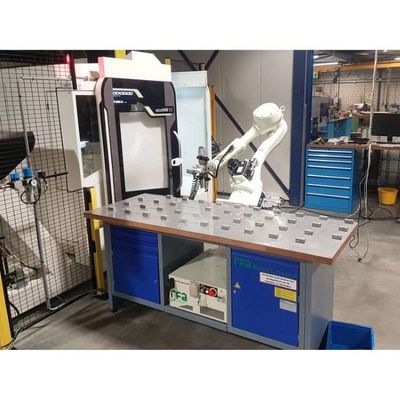 6 Eksenli Robot Kol Palletizer RS020N Palletizing Robot olarak Palletizing İşleme Otomasyon için