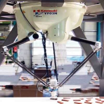 Robotik Kol Montajı YF003N Montaj Robotu 4 Eksen Delta Robot için Yük 3kg