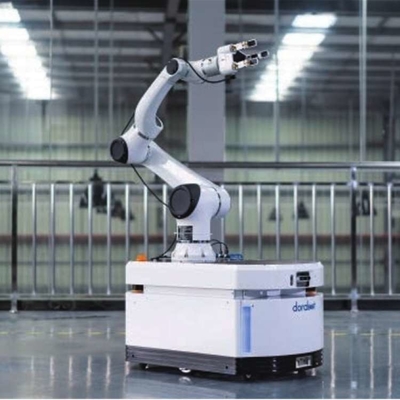 CNGBS Robotik Yakalayıcı ve 6 Eksenli Robotik Kol ile Robotu Seçip Yerleştir Hans E18