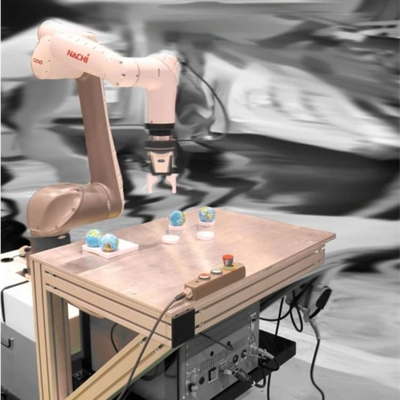 Cobot Robot Kol 6 Eksenli CZ10-01 İşbirliği Robotu Olarak Toplamak İçin CNGBS Robotik Yakalayıcıyla
