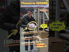 Flowserve 3200MD Valf Konumlandırıcısı