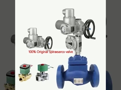 % 100 orijinal Spiraxsarco valfi