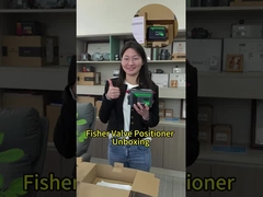 Fisher valf pozisyonerine ne dersin?