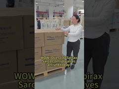 Spirax Sarco'ya ne dersin?